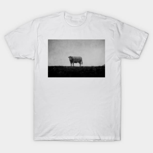 Cow T-Shirt by rosedew